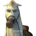 Límmiði