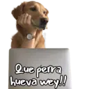 Figurinha