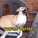 Figurinha