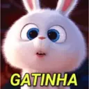 Figurinha