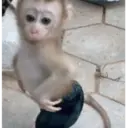 Çıkartma