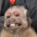 Çıkartma