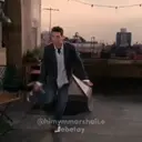 Samolepka