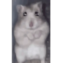 Límmiði