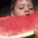 Samolepka