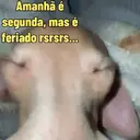 Figurinha