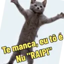 Figurinha