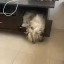 स्टिकर