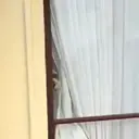 स्टिकर