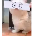 स्टिकर