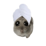 Ngjitës