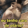 Figurinha