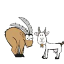 Límmiði