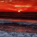 Կպչուն պիտակ