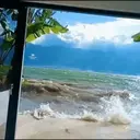 Կպչուն պիտակ