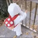 Կպչուն պիտակ