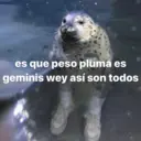 Figurinha