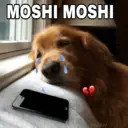 స్టికర్