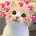 贴纸