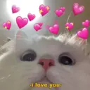 贴纸