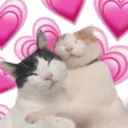 贴纸