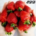 Կպչուն պիտակ