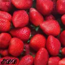 Կպչուն պիտակ
