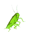 ਸਟਿਕਰ