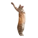 ਸਟਿਕਰ
