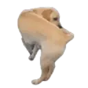 ਸਟਿਕਰ