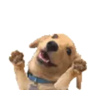 ਸਟਿਕਰ