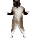 ਸਟਿਕਰ
