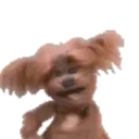 ਸਟਿਕਰ