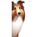 স্টিকার