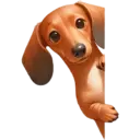 স্টিকার