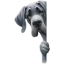 স্টিকার