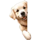 স্টিকার