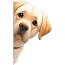 স্টিকার