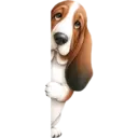 স্টিকার