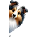 স্টিকার