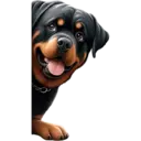 স্টিকার