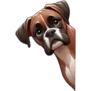 স্টিকার