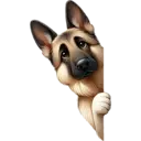 স্টিকার