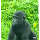 Կպչուն պիտակ