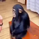 Կպչուն պիտակ