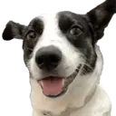 Figurinha