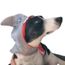 Figurinha