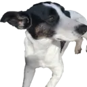 Figurinha