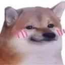 Límmiði