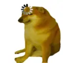 Límmiði